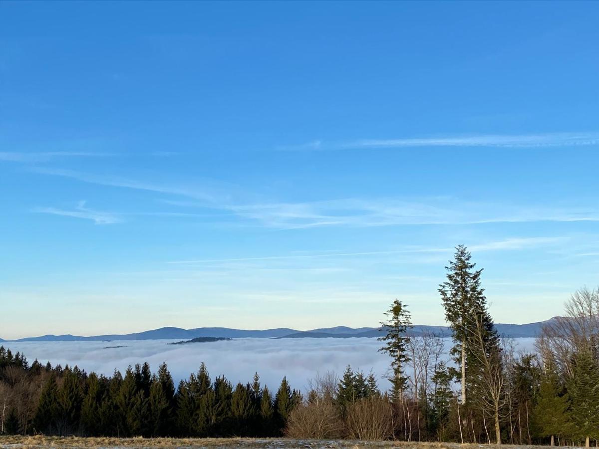 Uriges Top-Apartment Im Bayerischen Wald 3Br! +Netflix Schofweg Екстер'єр фото